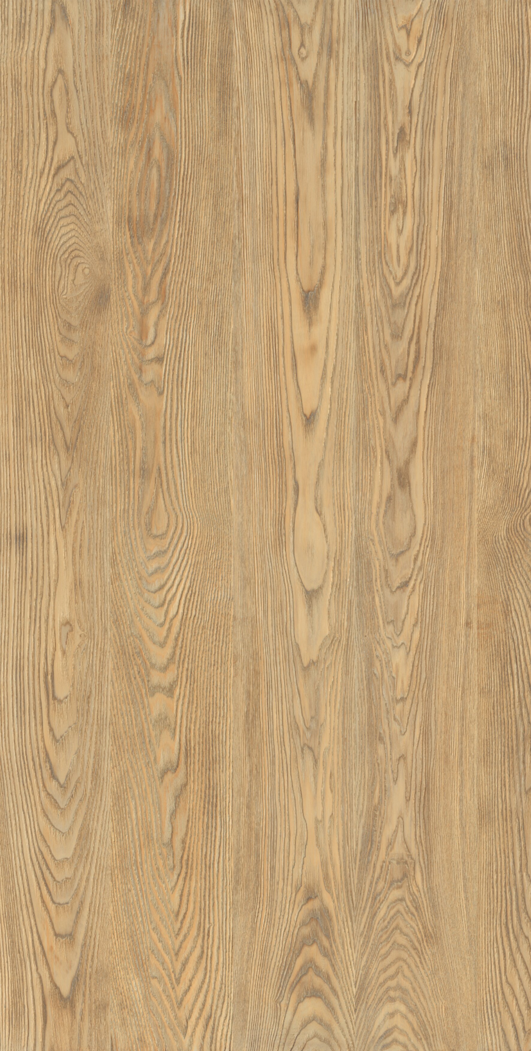 凯发·k8(中国)官方网站